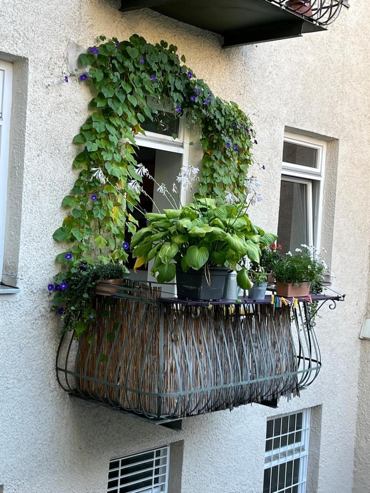 Appartement Connected Near Ostbahnhof With Balcony München